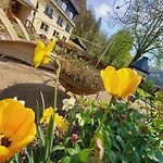 Gasthof Am Nationalpark Stadt Wehlen