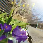 Am Nationalpark 스타트벨렌