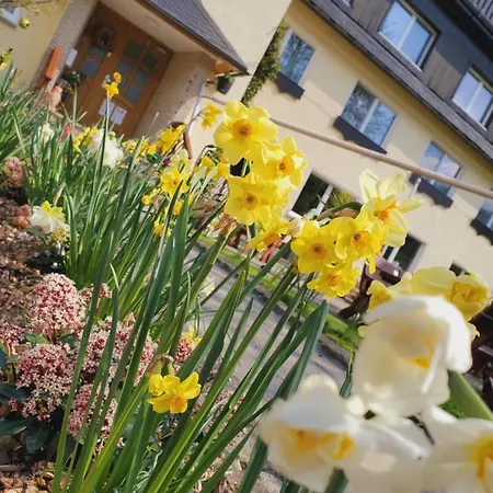 Gasthof Am Nationalpark Stadt Wehlen