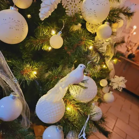 Am Nationalpark Gasthof Stadt Wehlen