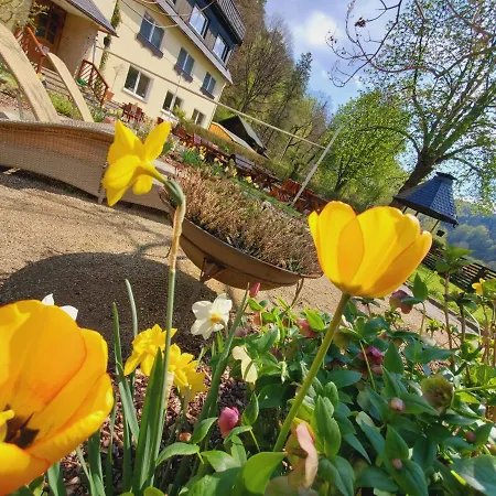 Gasthof Am Nationalpark Stadt Wehlen