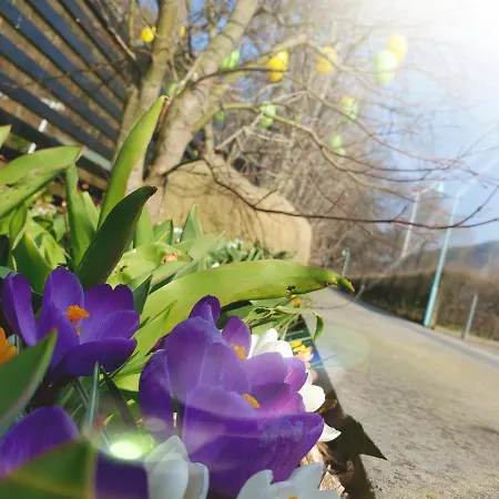 Am Nationalpark Stadt Wehlen