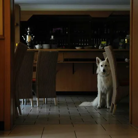 Am Nationalpark Gasthof Stadt Wehlen