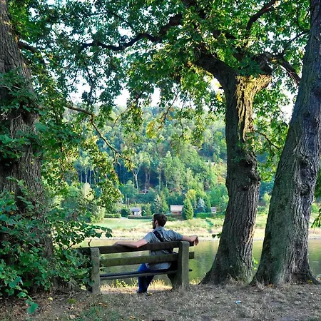 Am Nationalpark * Stadt Wehlen