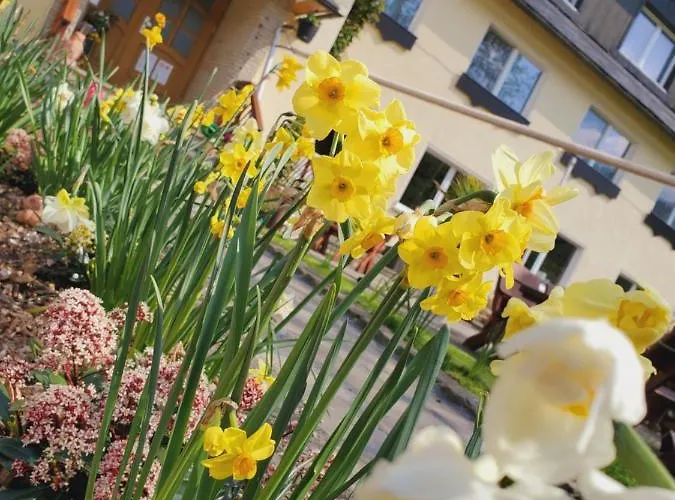 Affittacamere Am Nationalpark Stadt Wehlen