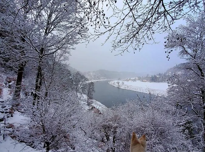 Am Nationalpark Affittacamere 3*