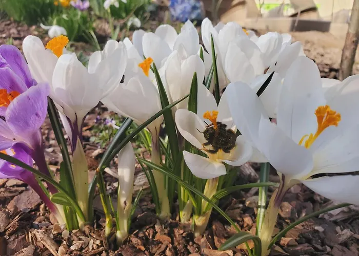 Am Nationalpark Affittacamere 3*