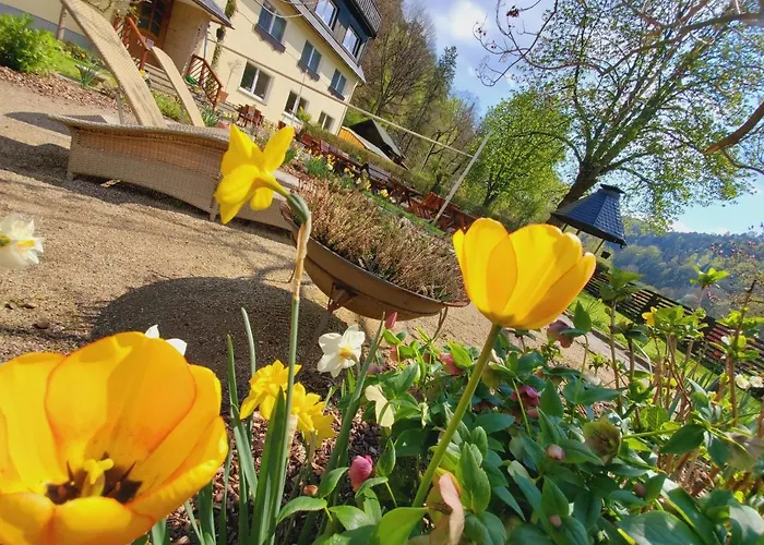 Affittacamere Am Nationalpark Stadt Wehlen