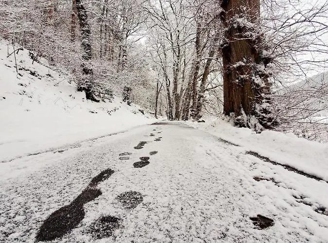 Am Nationalpark Affittacamere